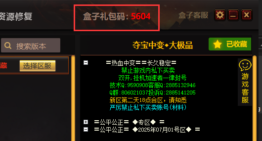 9cs传世
