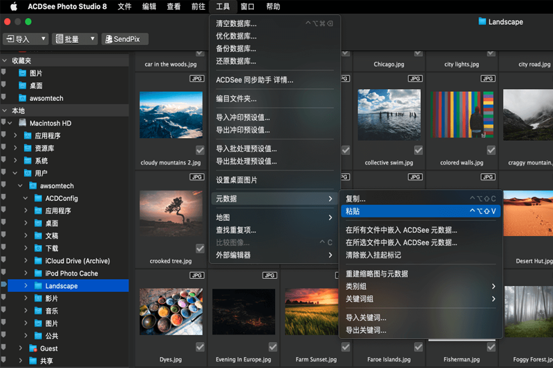 ACDSee Photo Studio Mac版