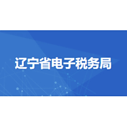 辽宁省电子税务局客户端