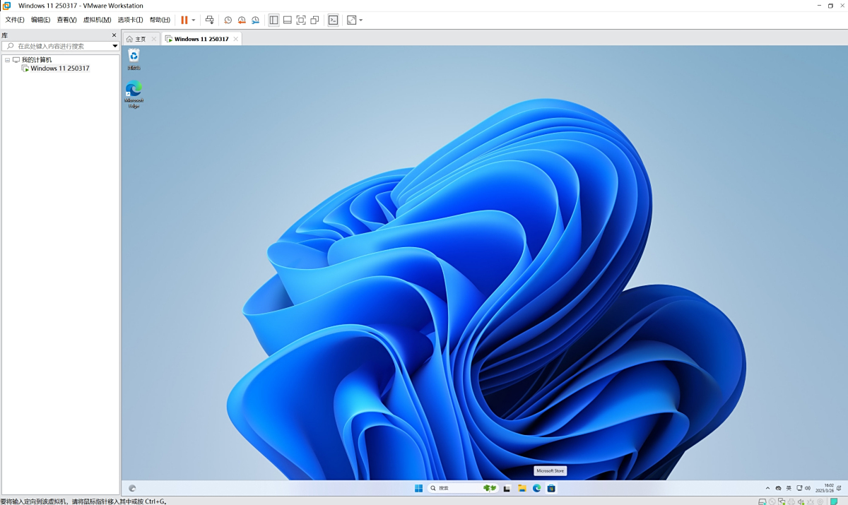 VMware Workstation